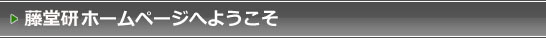 藤堂研ホームページへ